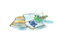 Cricket_Butterfly-2